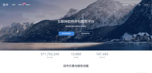 程序員接單網(wǎng)站與軟件外包服務(wù) 靈活就業(yè)與高效開發(fā)的橋梁