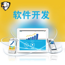 軟件外包服務全解析 報價、收費模式與九品制服務分級